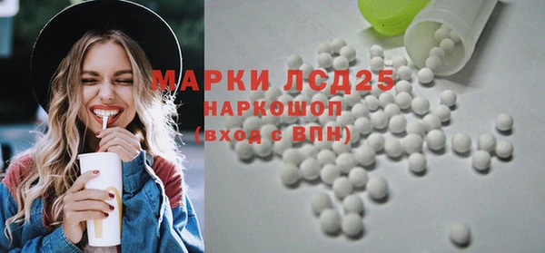 хмурый Инсар