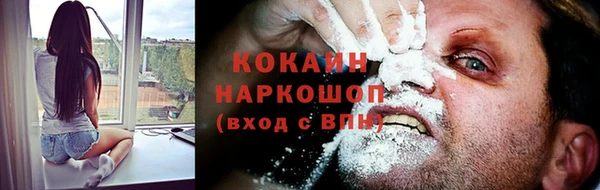 хмурый Инсар