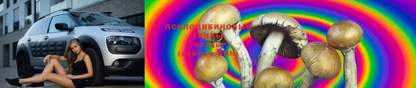 хмурый Инсар