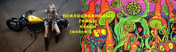ALPHA PVP Иннополис