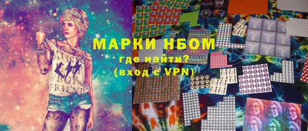 хмурый Инсар