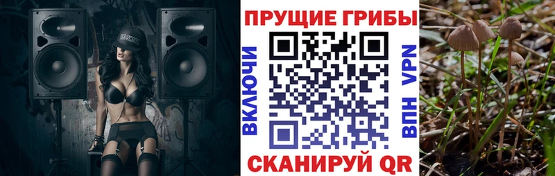 Купить  Саяногорск  Галлюциногенные грибы ЛСД 